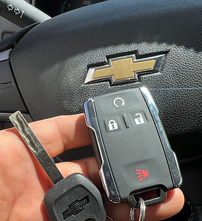 OEM and remote programming