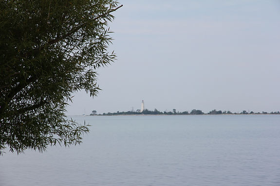 IMG_4768.JPG