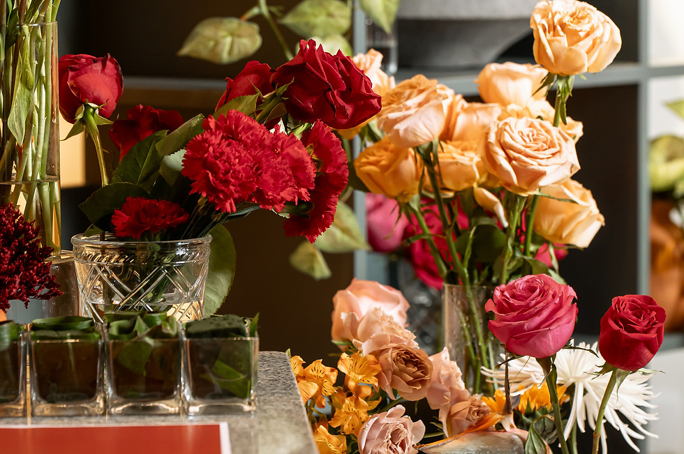 LF CONTENT FEBRERO - February 12- 2024 - 04156.jpg