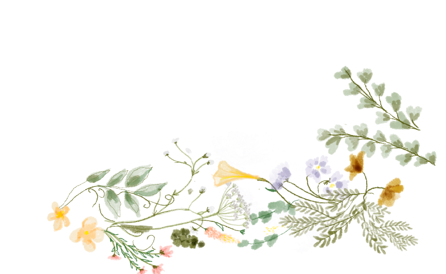 Copy of Floral Ornament 1_edited.png