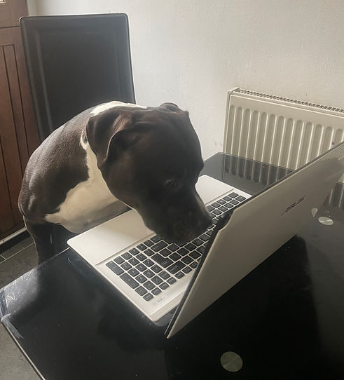 charlielaptop.jpeg