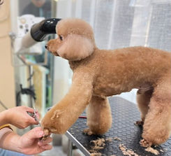 IG貼文圖 (2)_edited_edited.jpg