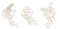 shutterstock_1926675659.jpg