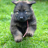 Portée Prada & Colonel