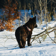 DSC_0453.jpg