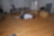 j7.jpg