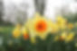 COLOURBOX13125285.jpeg