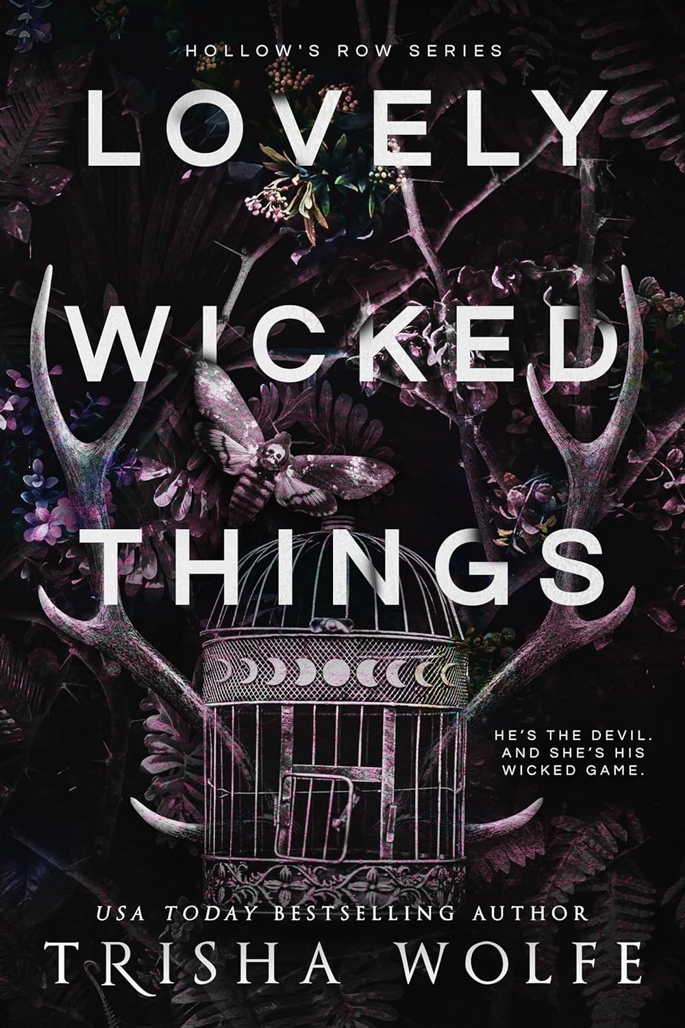Lovely Wicked Things