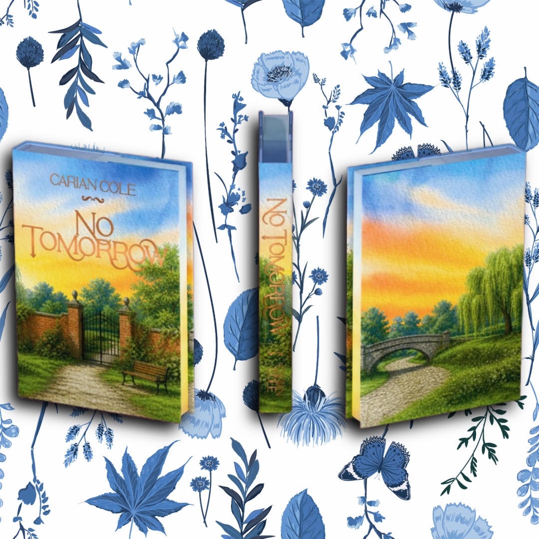Imagine Books Shop · Carian Cole Box