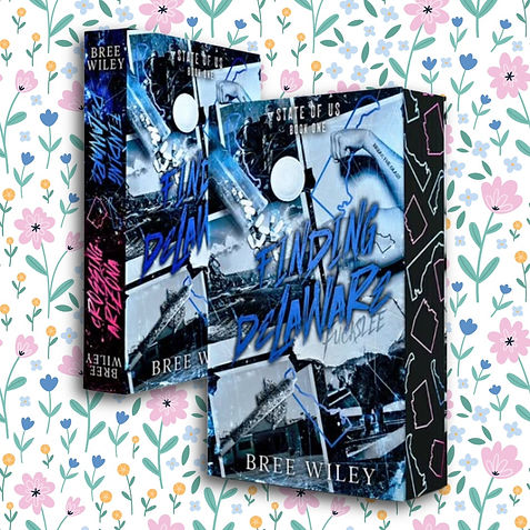 Finding Delaware Bree Wiley Romance Me Book Box