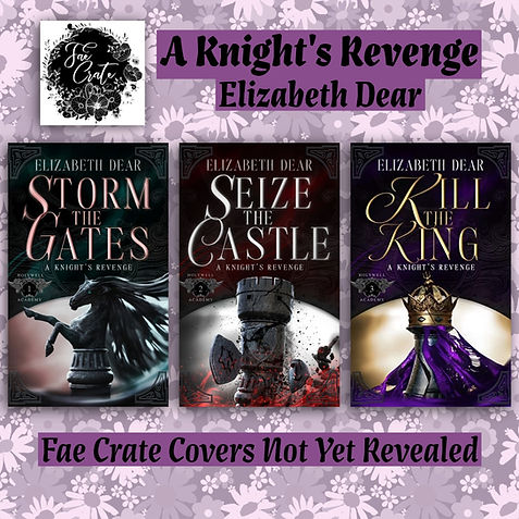 Seize the Castle A Knights Revenge Fae Crate