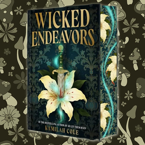 Wicked Endeavors Kamilah Cole Satisfiction Book Box