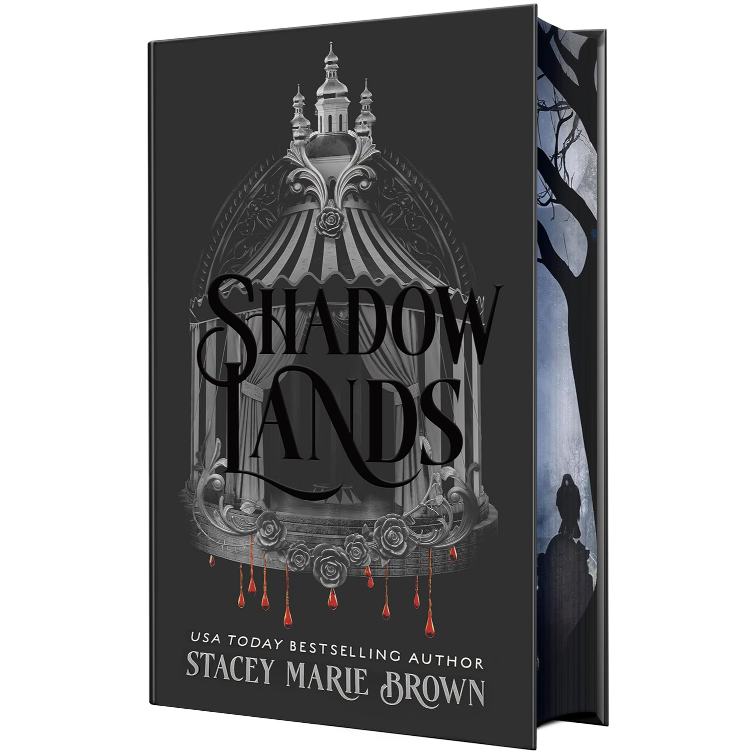 Shadow Lands