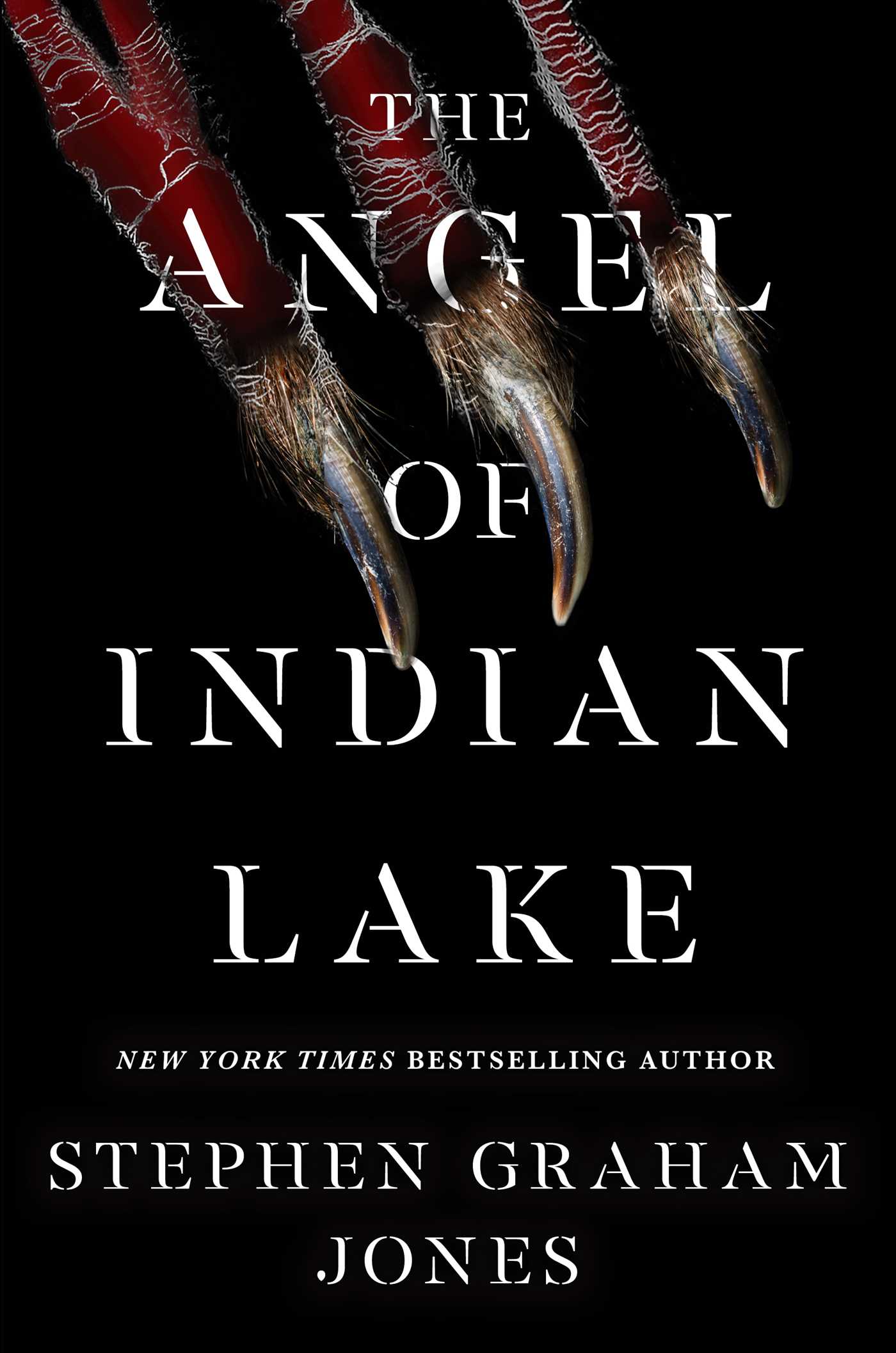 The Angel Of Indian Lake Stephen