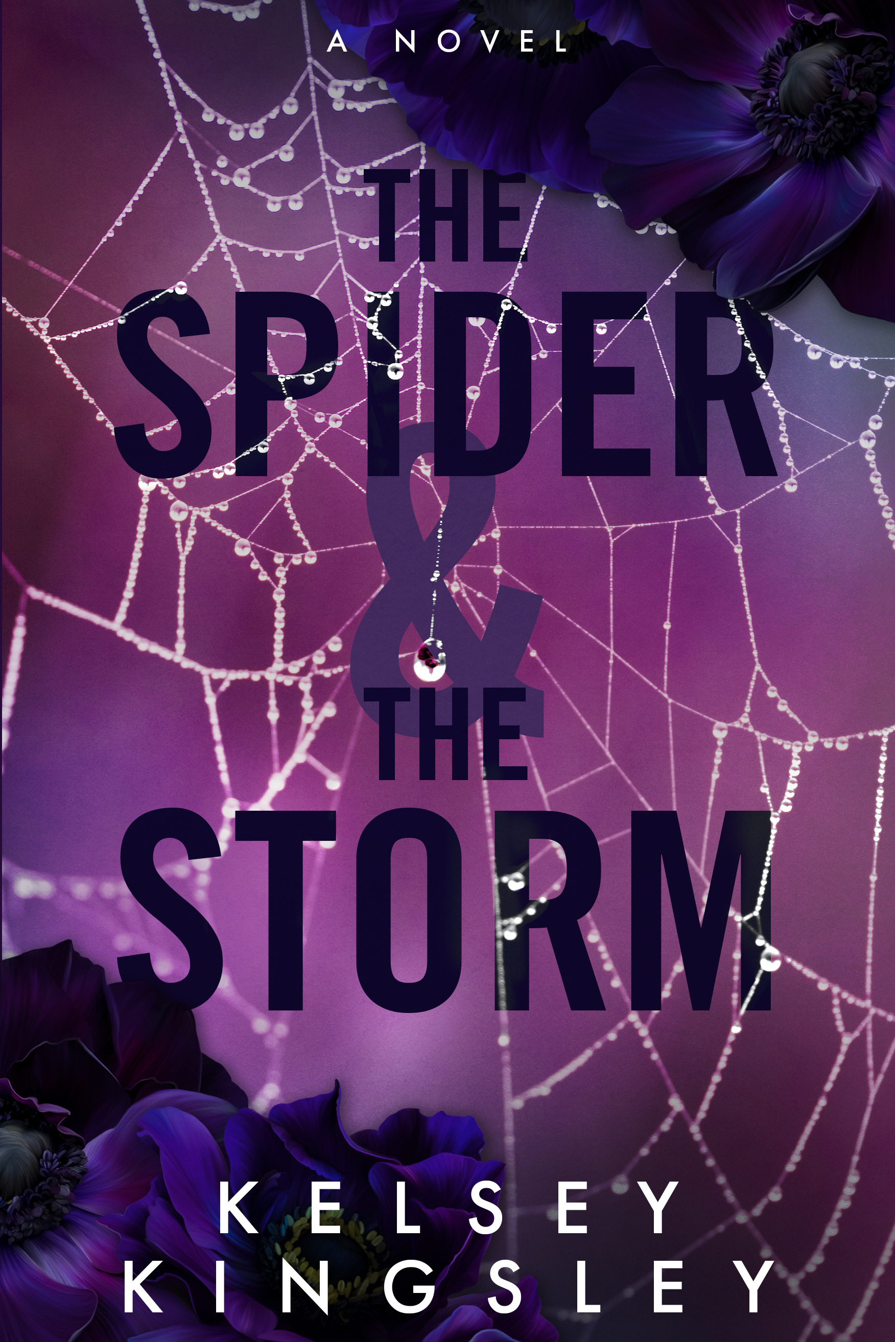 The Spider & The Storm
