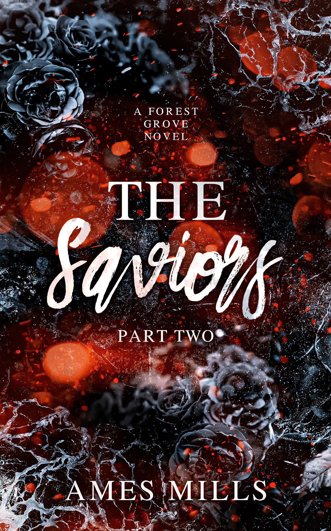 All of the Above Book Box September 2025 Edition