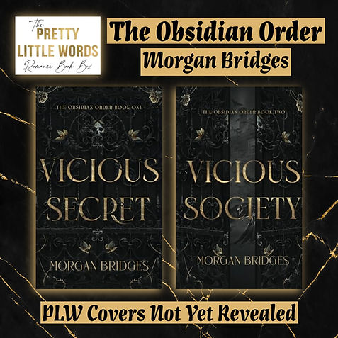 Vicious Society The Obsidian Order Pretty Little Words