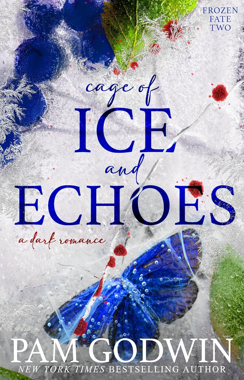 Cage Of Ice And Echoes
