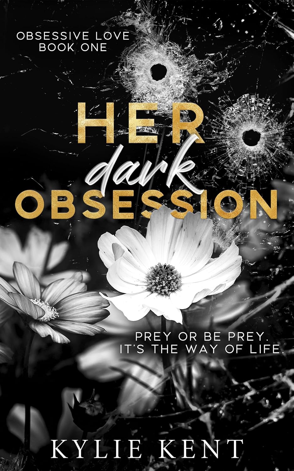 Her Dark Obsession