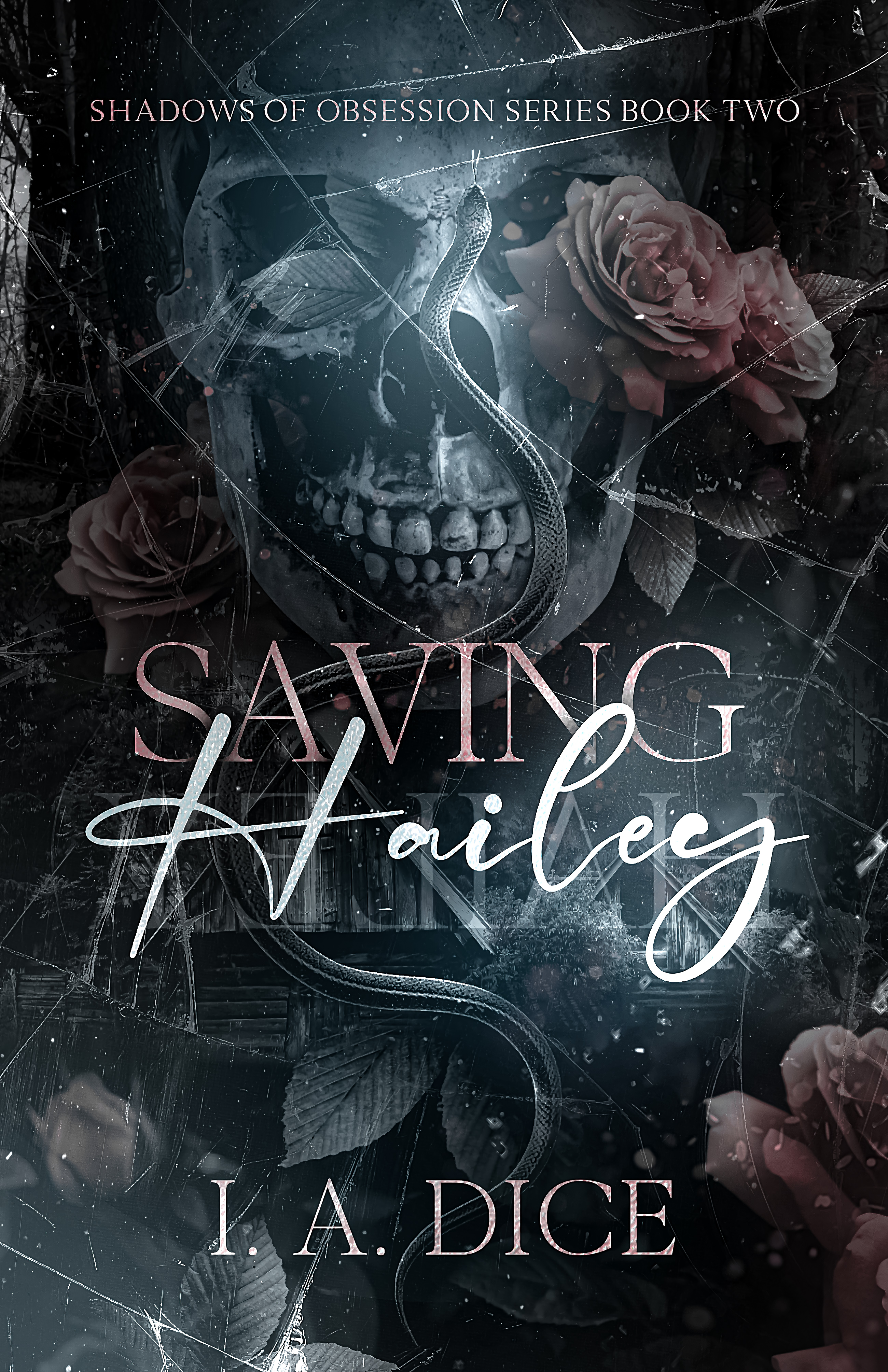 Saving Hailey