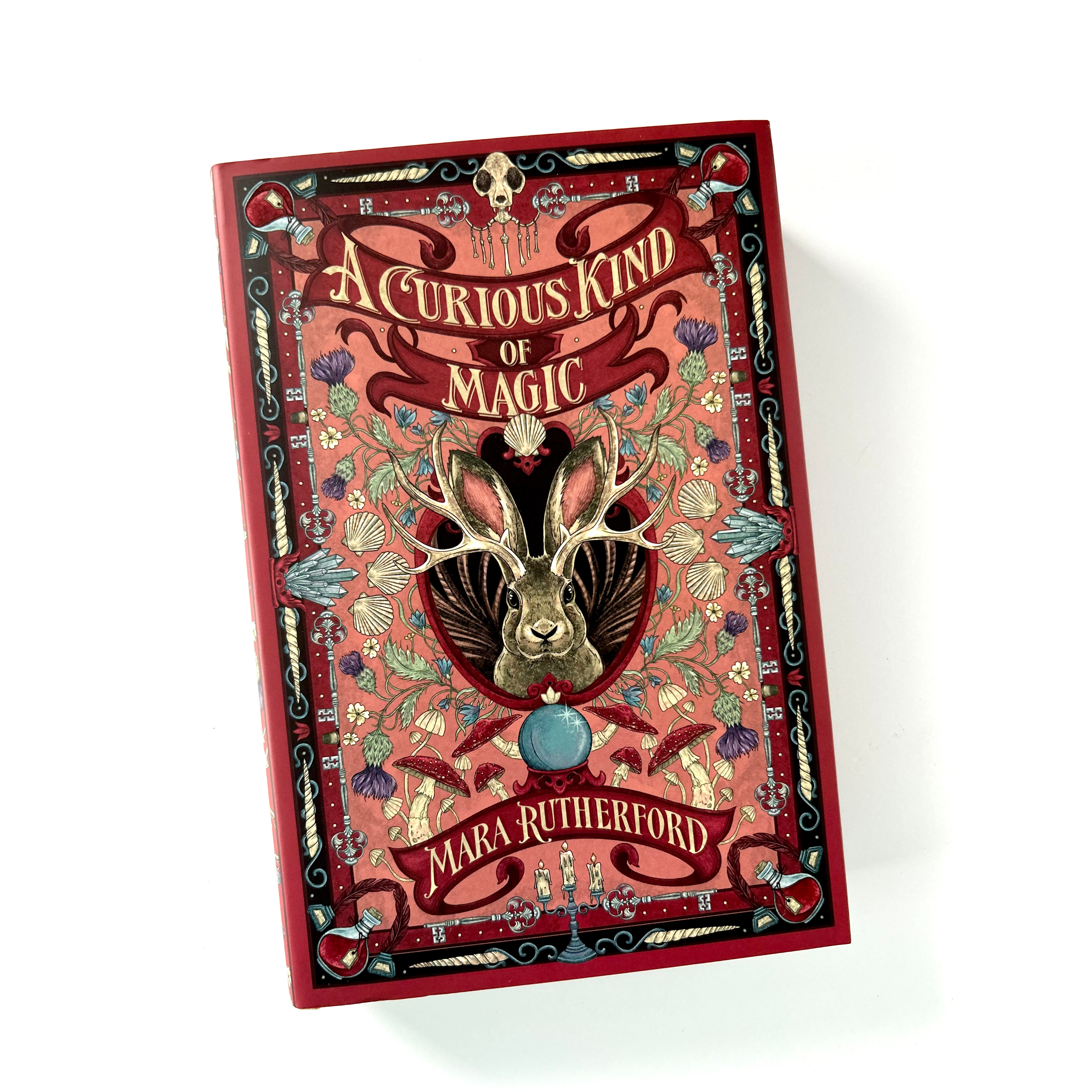 OwlCrate Jr. October 2025 Edition