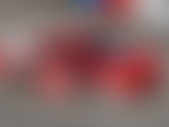 Nelson Motorsports releases 2026 Schedule