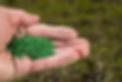 vecteezy_senior-male-hand-holding-coated-grass-seed-for-repairing_7221323.jpg