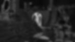 ReplaceRoyThomsonHall_edited.jpg