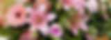 Beautiful flower arrangement