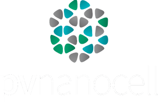 PV Logo White.png