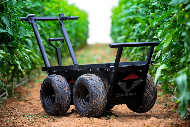 _DSC2954 copy2 s.jpg