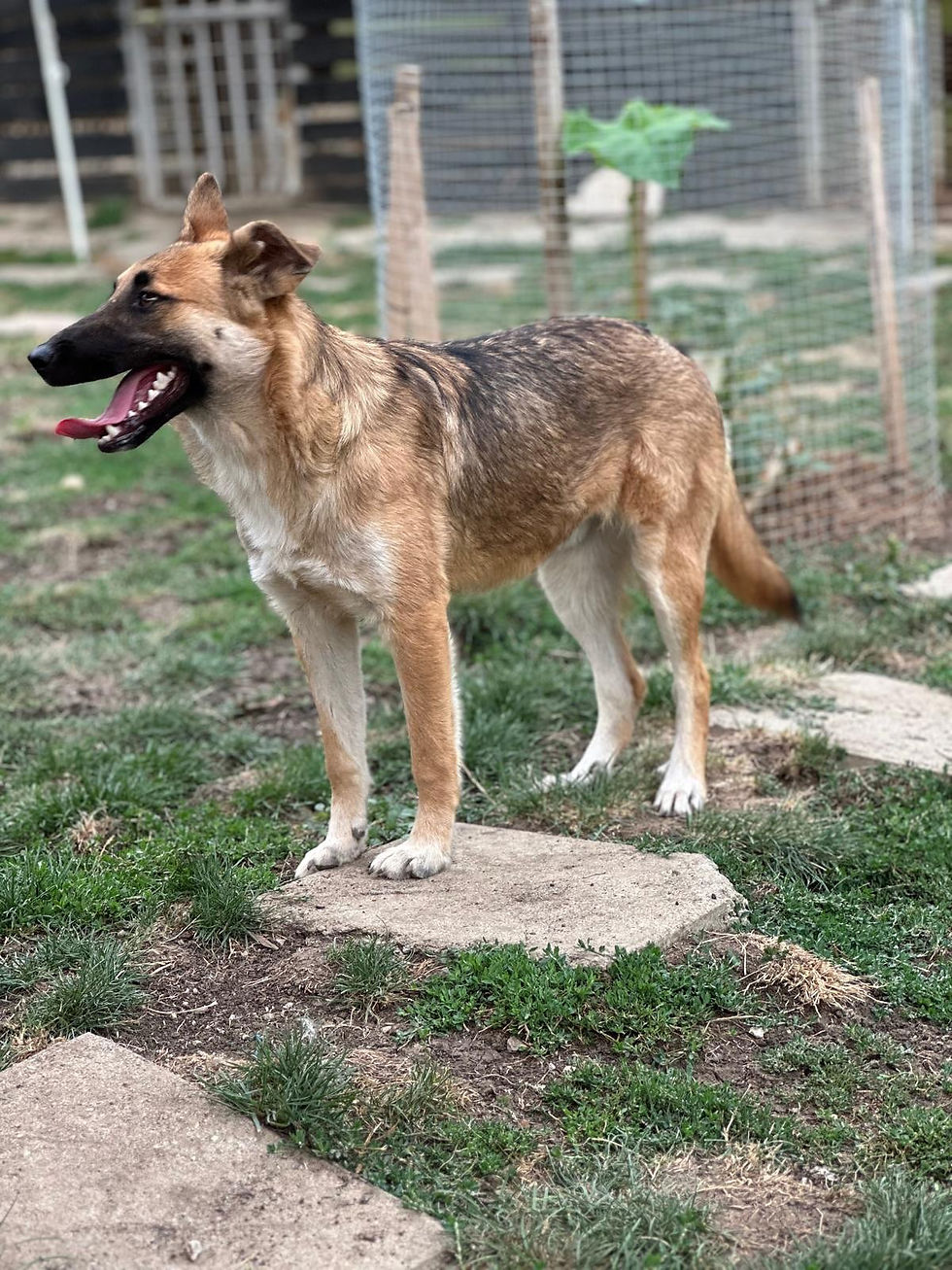 545272738_18058592483528490_5638904434928300315_n