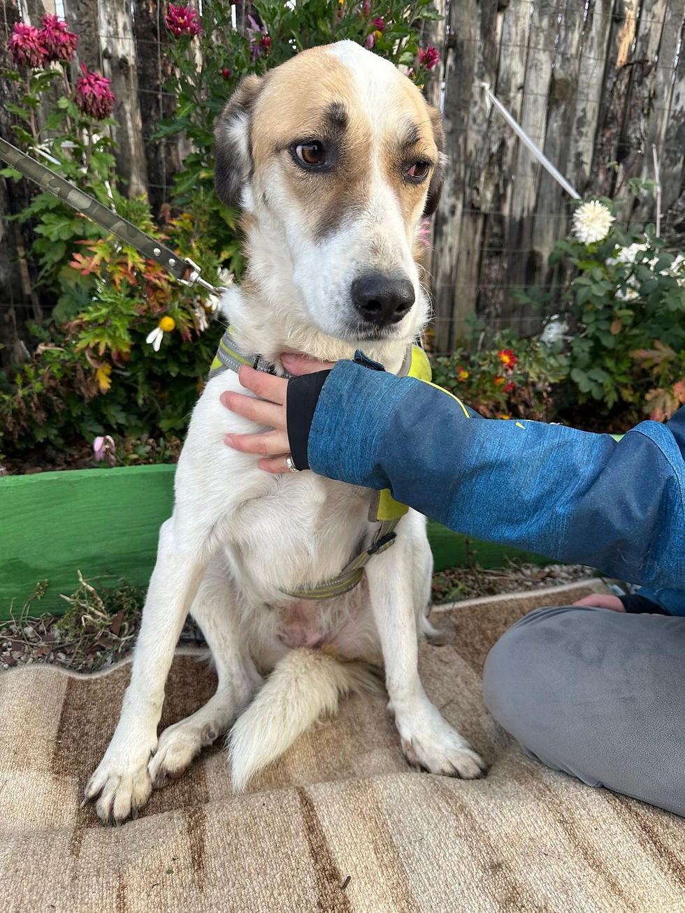 610764590_18072084437528490_4705343459118611010_n