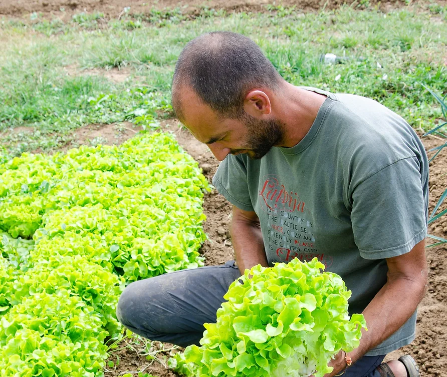 Franck Sillam, la ferme des Roselières