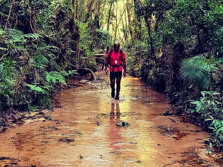 A culpa é de quem? Trilhas pichadas, vandalismo e desrespeito à natureza não são apenas “problemas de comportamento individual”. São sintomas de algo mais profundo: um projeto coletivo que falhou em formar consciência.