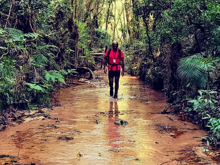 A culpa é de quem? Trilhas pichadas, vandalismo e desrespeito à natureza não são apenas “problemas de comportamento individual”. São sintomas de algo mais profundo: um projeto coletivo que falhou em formar consciência.