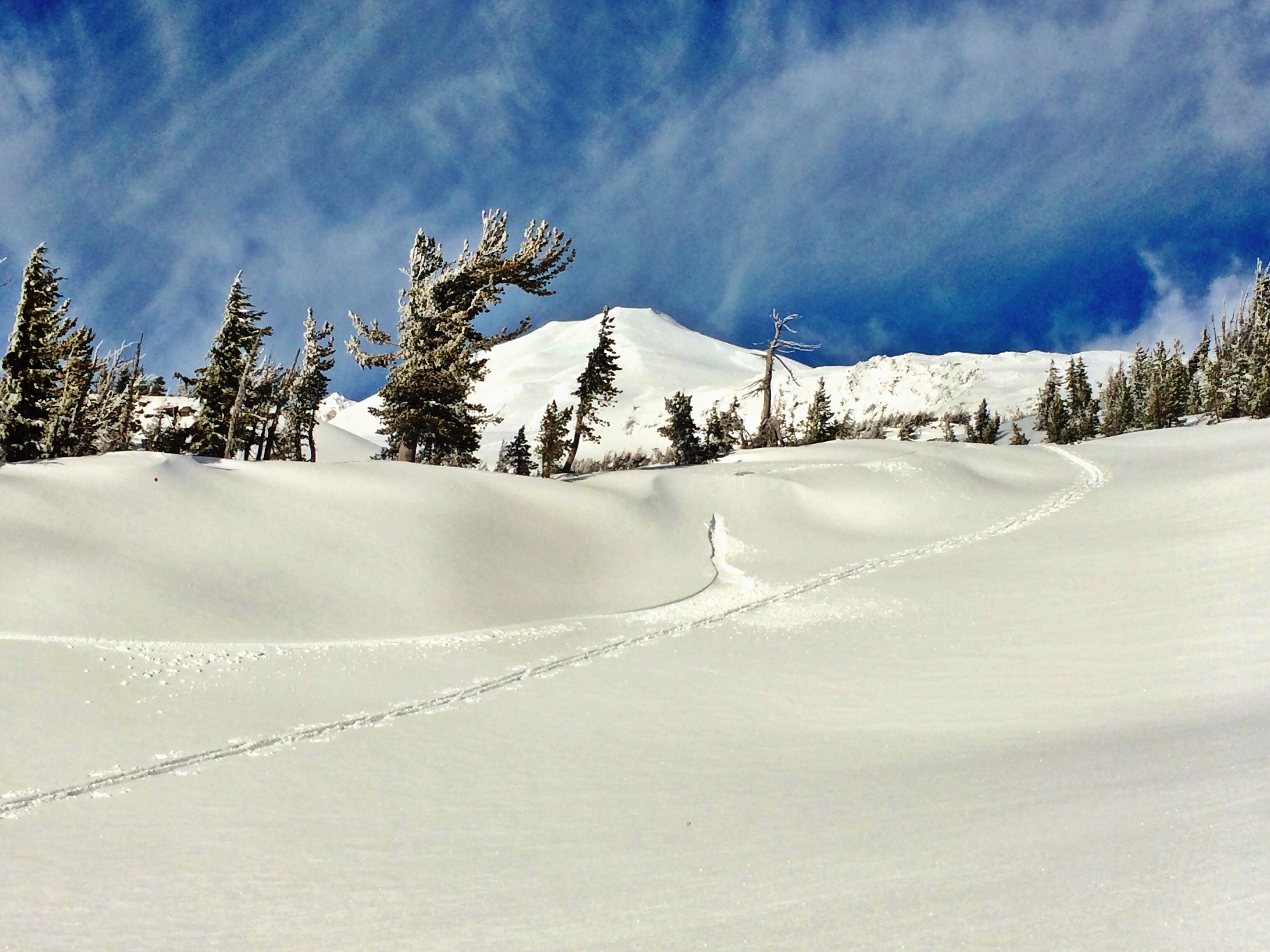 Trout Lake Cozy Cabins Photo Gallery
