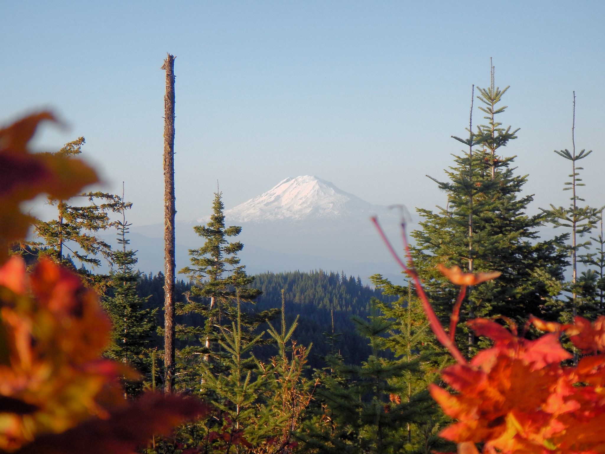 Trout Lake Cozy Cabins Photo Gallery