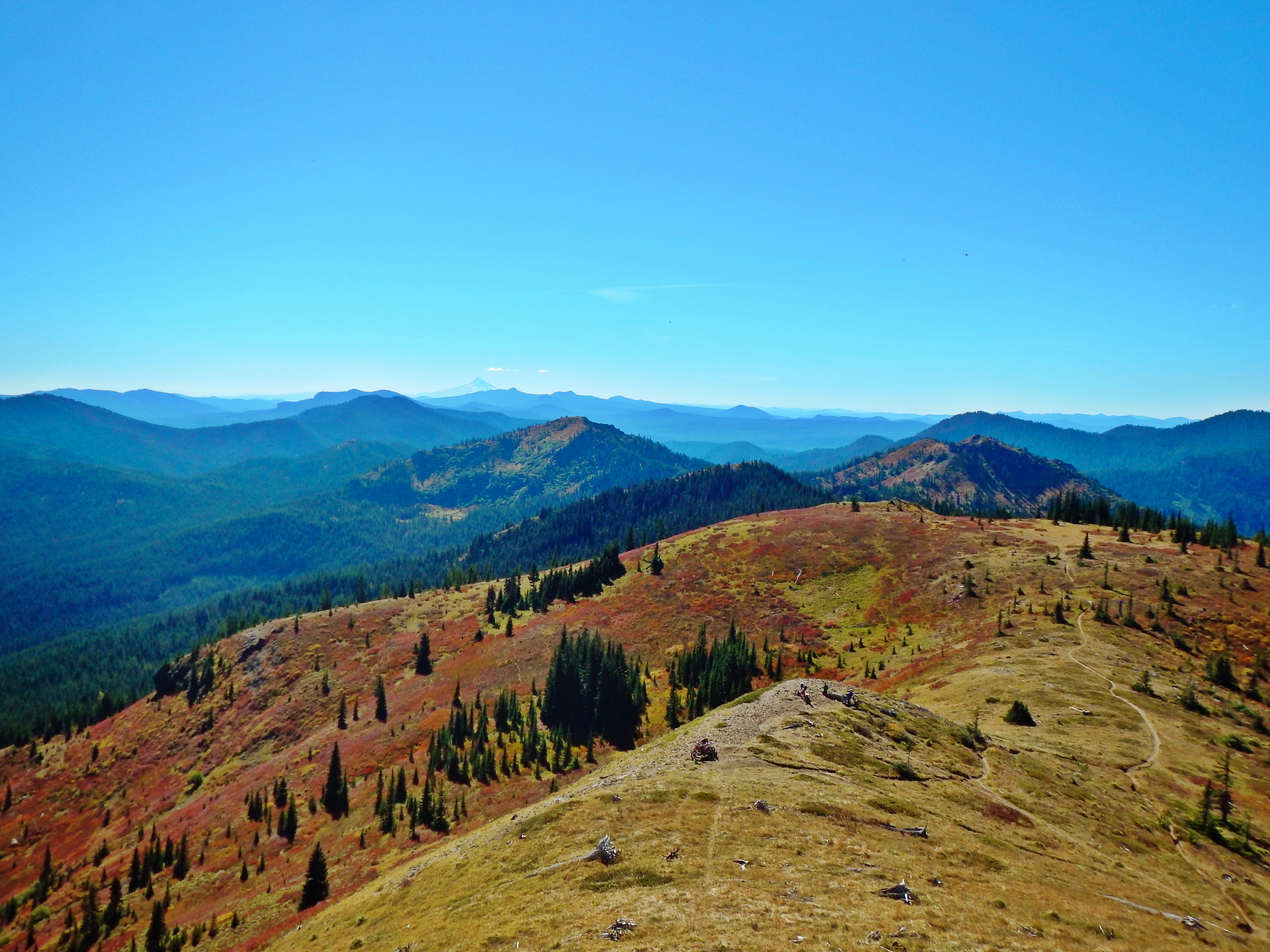 Trout Lake Cozy Cabins Photo Gallery