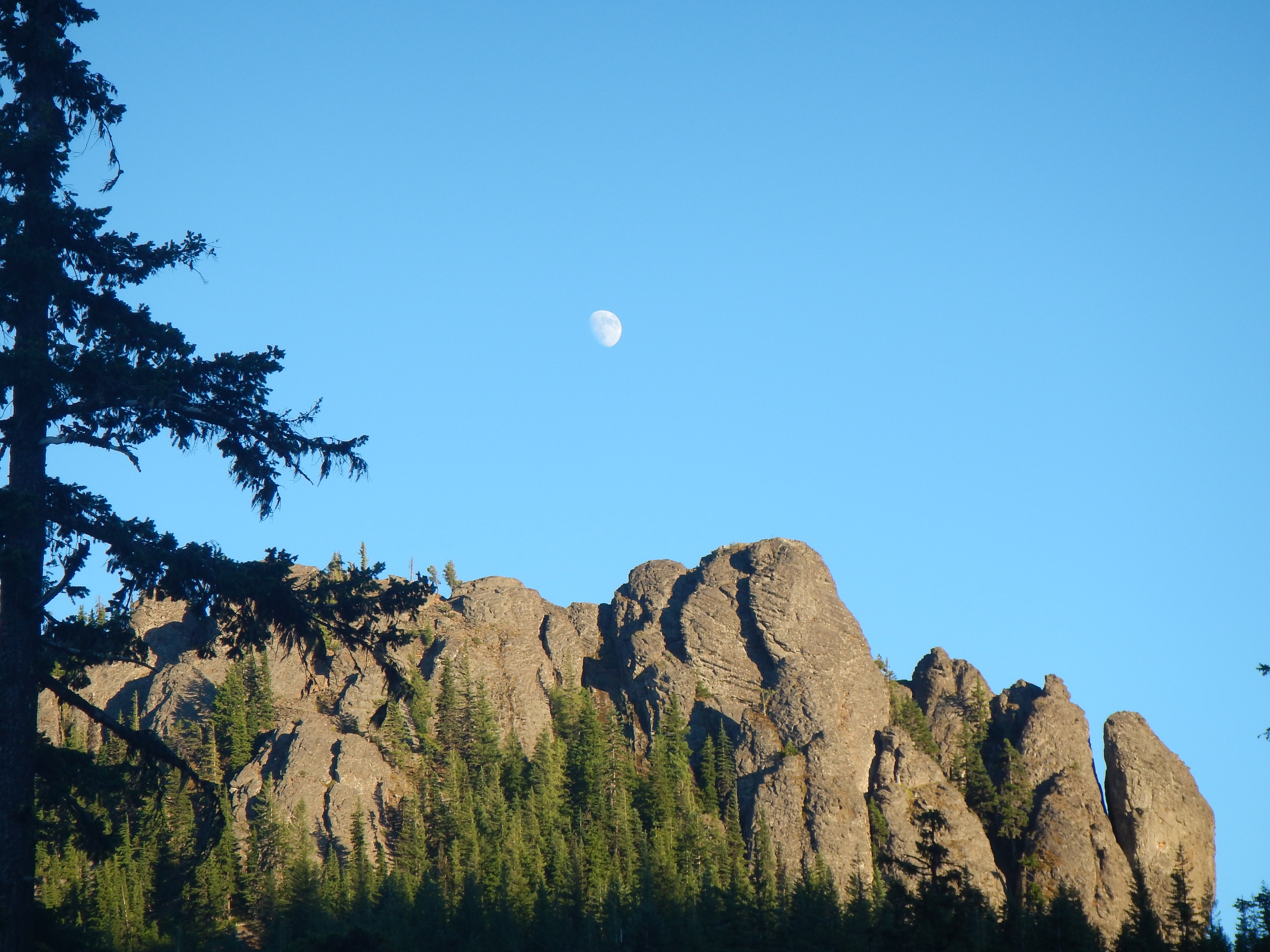 Trout Lake Cozy Cabins Photo Gallery