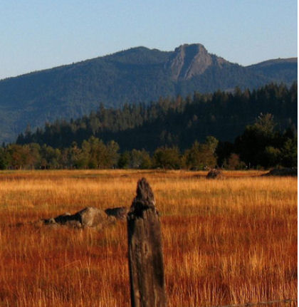 Trout Lake Cozy Cabins Photo Gallery