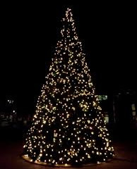 DEC. 1, 2017 Community Christmas Tree Lighting @ 7PM