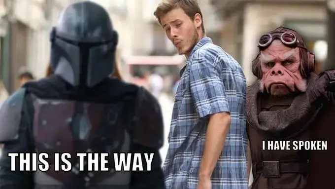 Distracted boyfriend meme, only the girl is replaced by the Mandalorian with the text, "This is the Way" and the GF with "I have spoken"