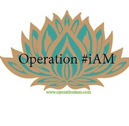 Screenshot 2025-11-09 at 3.01.05 PM.png