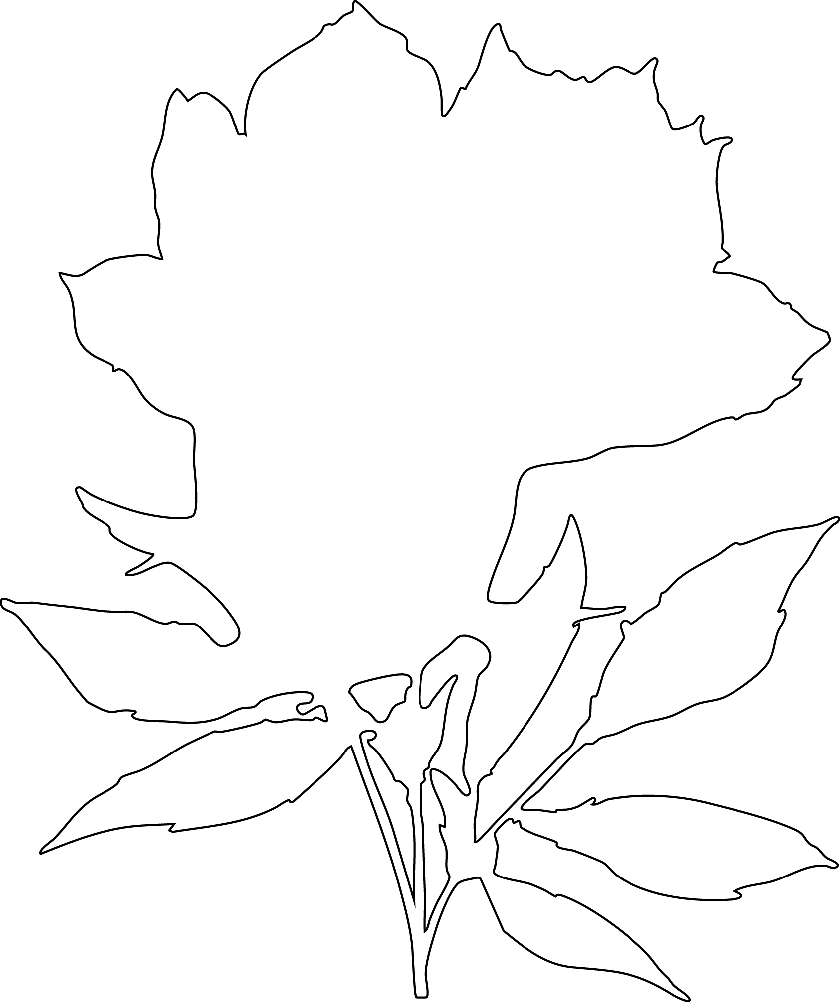 bloom_outline_draft2.gif