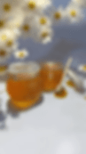 Video (6).gif