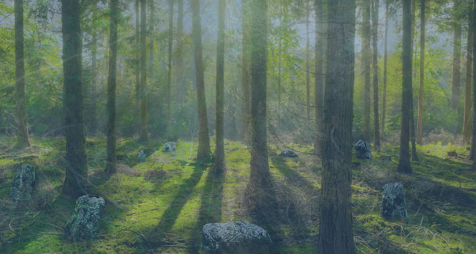 Earth Song Website Background BLANK.jpg