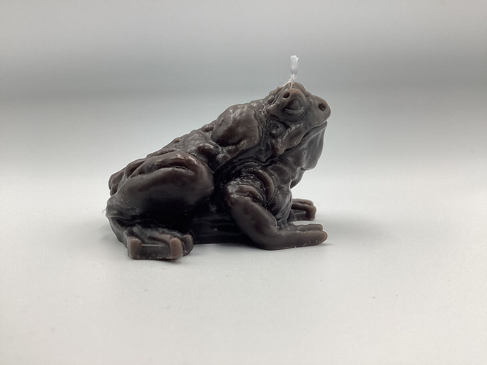 Thumbnail: Frog