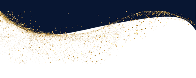 Divider Dark_edited.png