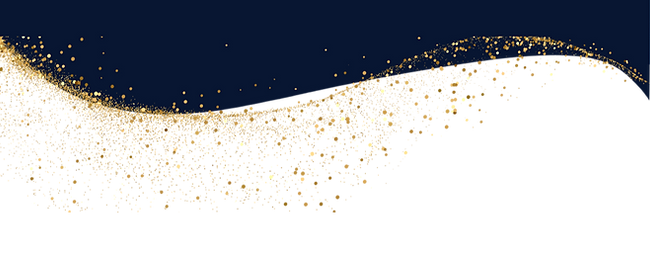 Divider Dark_edited.png